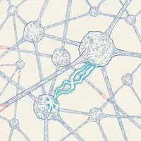 group background